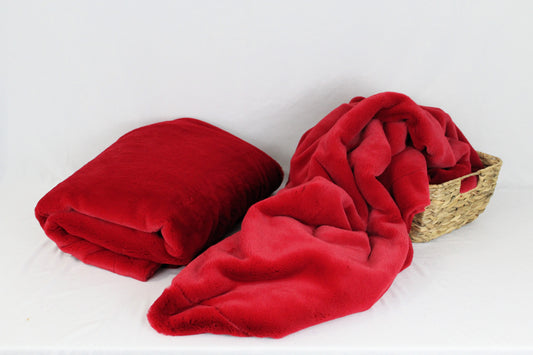 Eternal Cozy - Seal